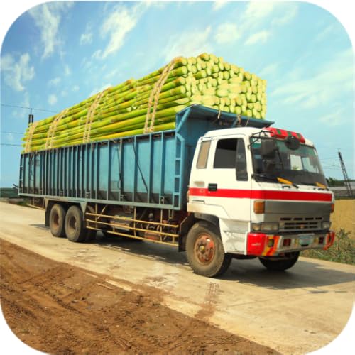 Off-road Sugarcane Delivery Indian Truck Game