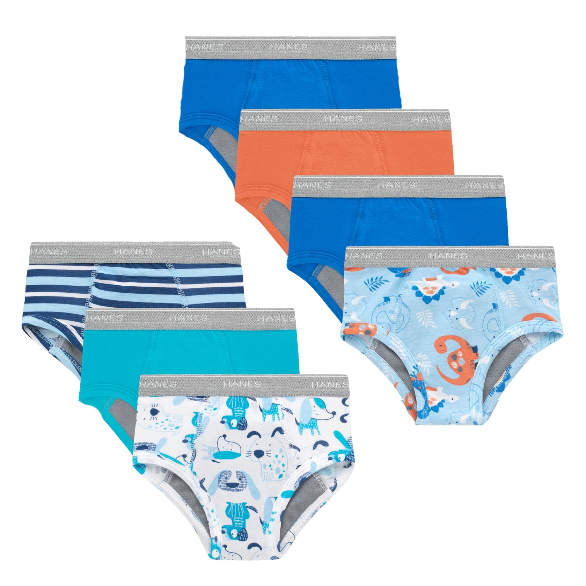 Hanes Boys Potty Training Underwear Light Leaks Toddler Cotton Briefs and Boxer Briefs Multi-pack