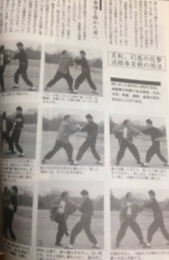 Amazon.co.jp: 中国武術 武芸 1994年june No.3 : BABジャパン