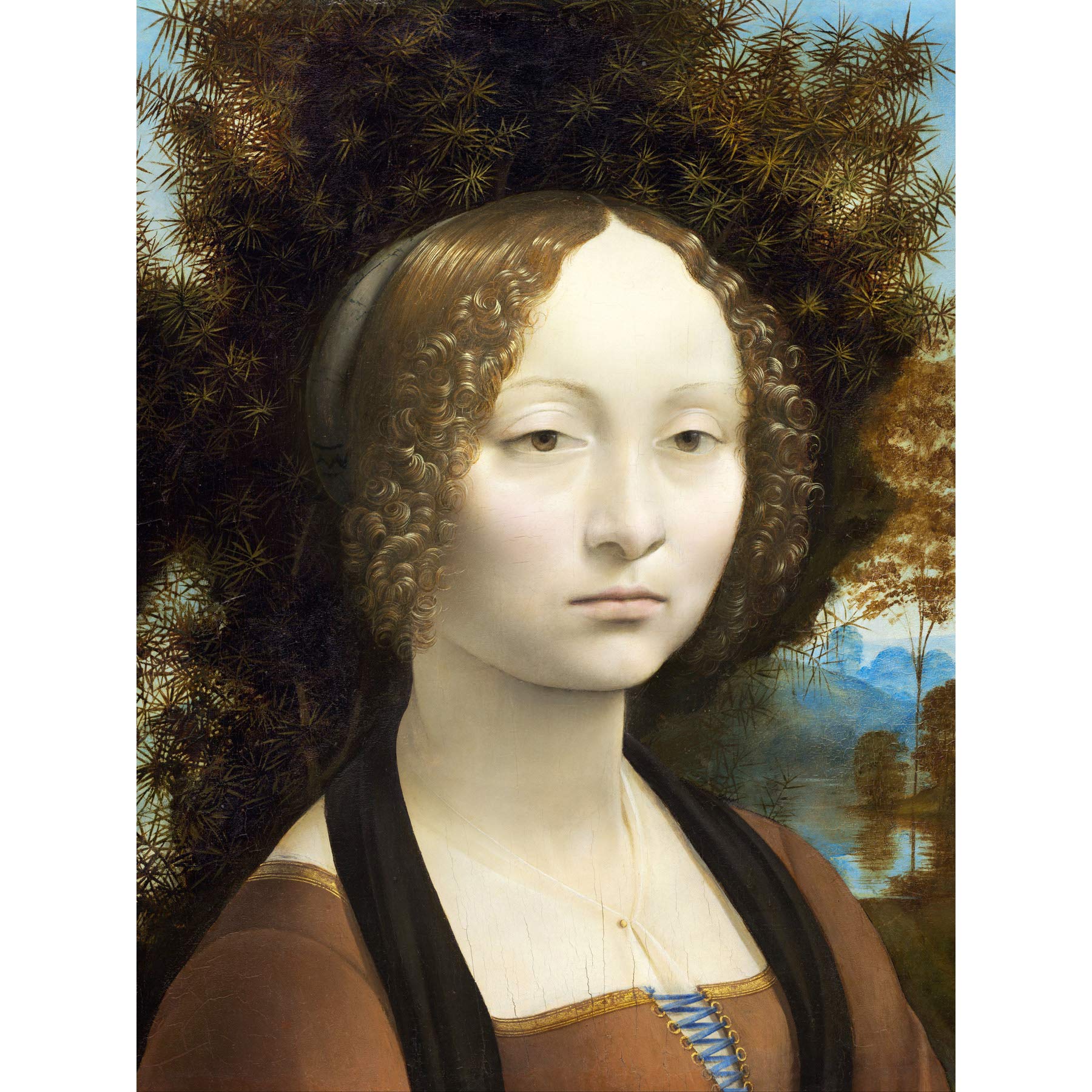 Da Vinci Ginevra De Benci Portrait Painting Large Print Poster Wall Art Decor Picture