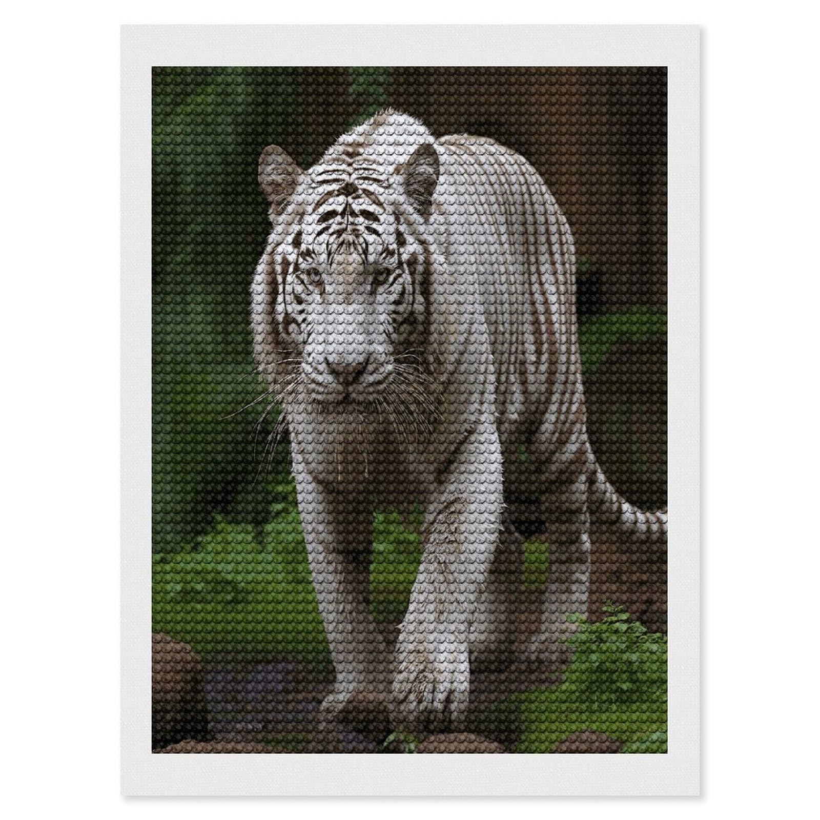 VstaDank Majestic White Bengal Tiger Diamond Painting Kits Exquisite DIY Full Round Drill Diamond Dots Painting for Adults Beginner Diamond Photo Paint with Diamond Picture Art Wall Decor 12"x16"