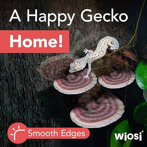 Miniatura 4 de Wiosi Estantes flotantes de hongos Reishi de cola de pavo de 5 piezas para decorar paredes Estantes para pared de habitación Estantes flotantes