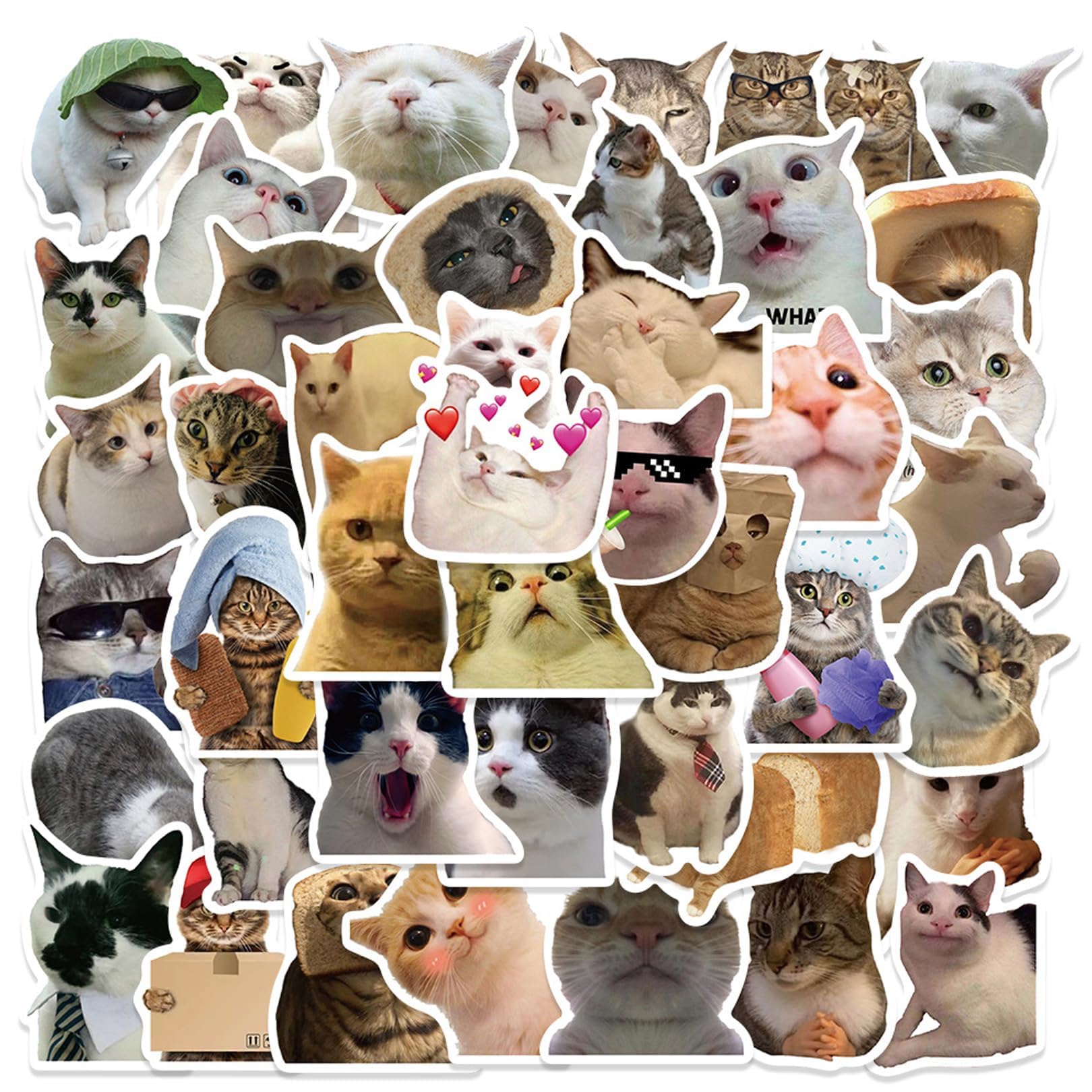 50 Pieces Cat Stickers,Funny Stickers,Cat Meme Sticker,Applicable to Water Bottle Scrapbook Phone