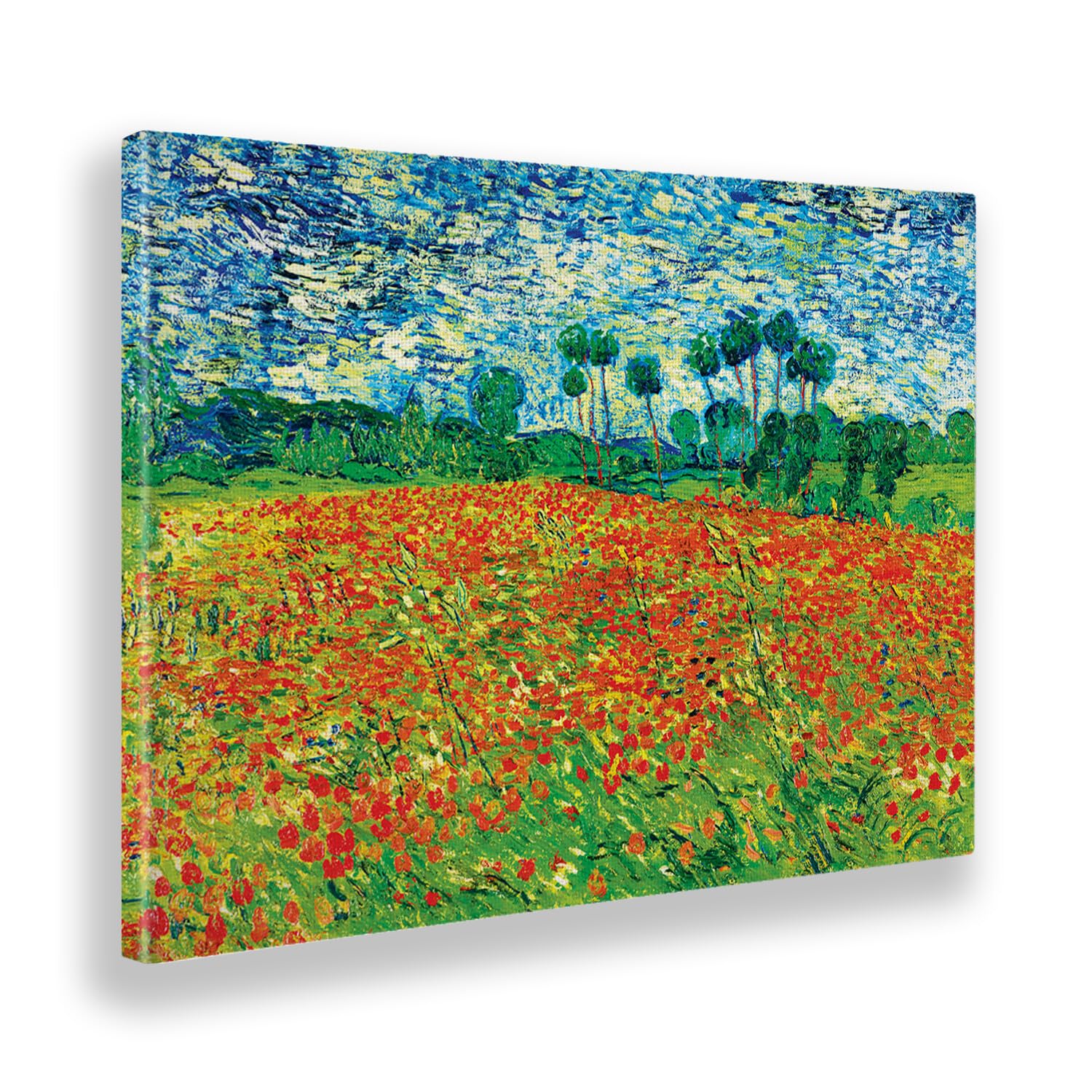 Giallobus - Quadro - Vincent Van Gogh - Poppy field (Campo di papaveri) - Tela Canvas Telaio Standard - 70L x 50l cm - Pronto da appendere - Quadri moderni per la casa