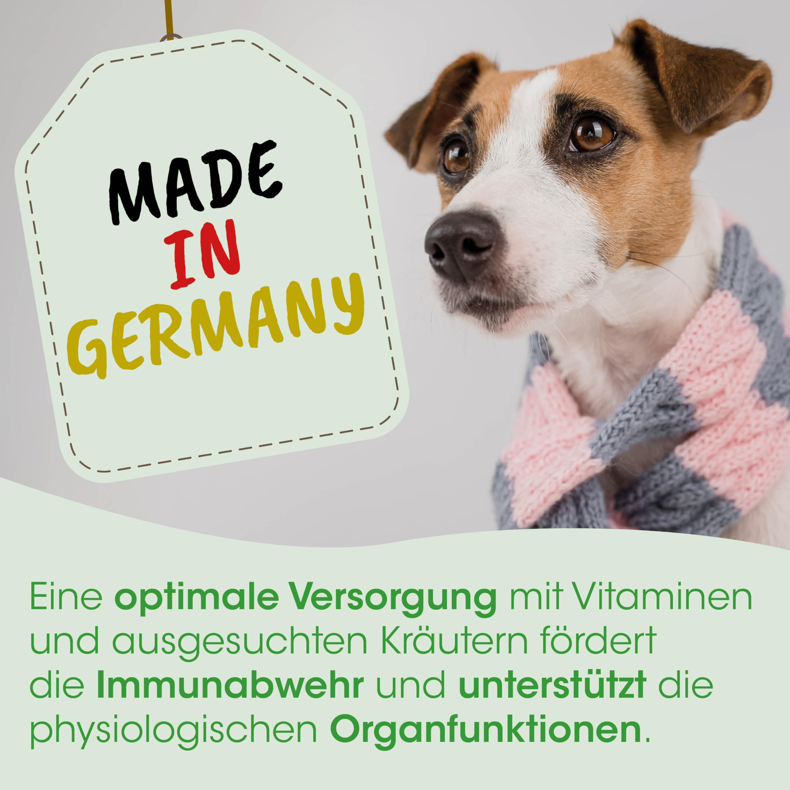 HustaVet Immun für Hunde Katzen Pferde – Natürliche Unterstützung für Atemwege & Immunsystem, 1,6kg