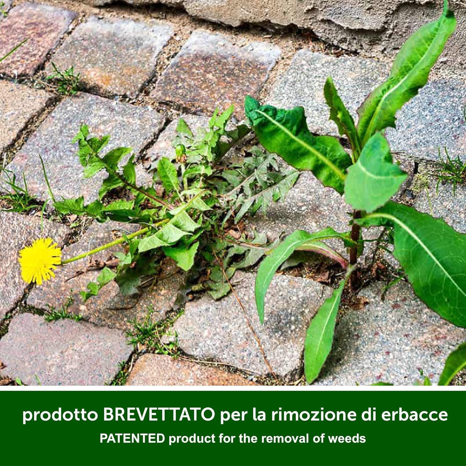 Turfmaster Urban Weed - Spray déshydratant, 1L Eco-durable pour l'élimination naturelle des mauvaises herbes et de la végétation indésirable, Prêt à l'emploi