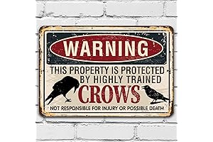 Witty Crow Warning Sign: A Quirky Statement for Your Property
