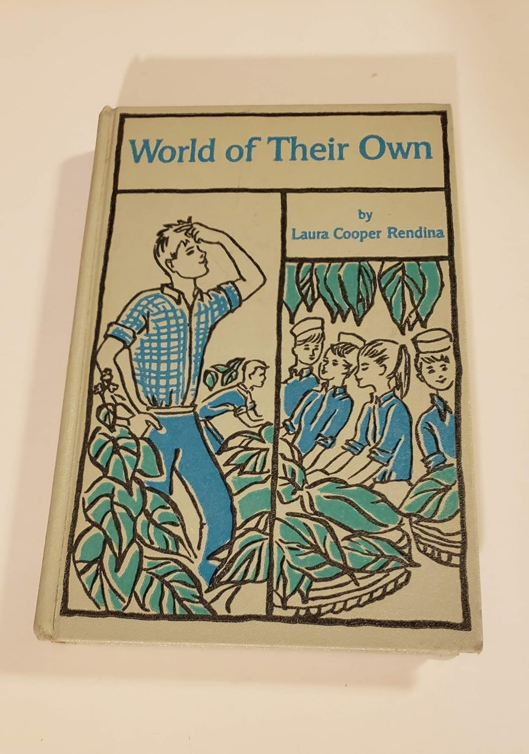 World of their own: Rendina, Laura Jones Cooper: Amazon.com: Books