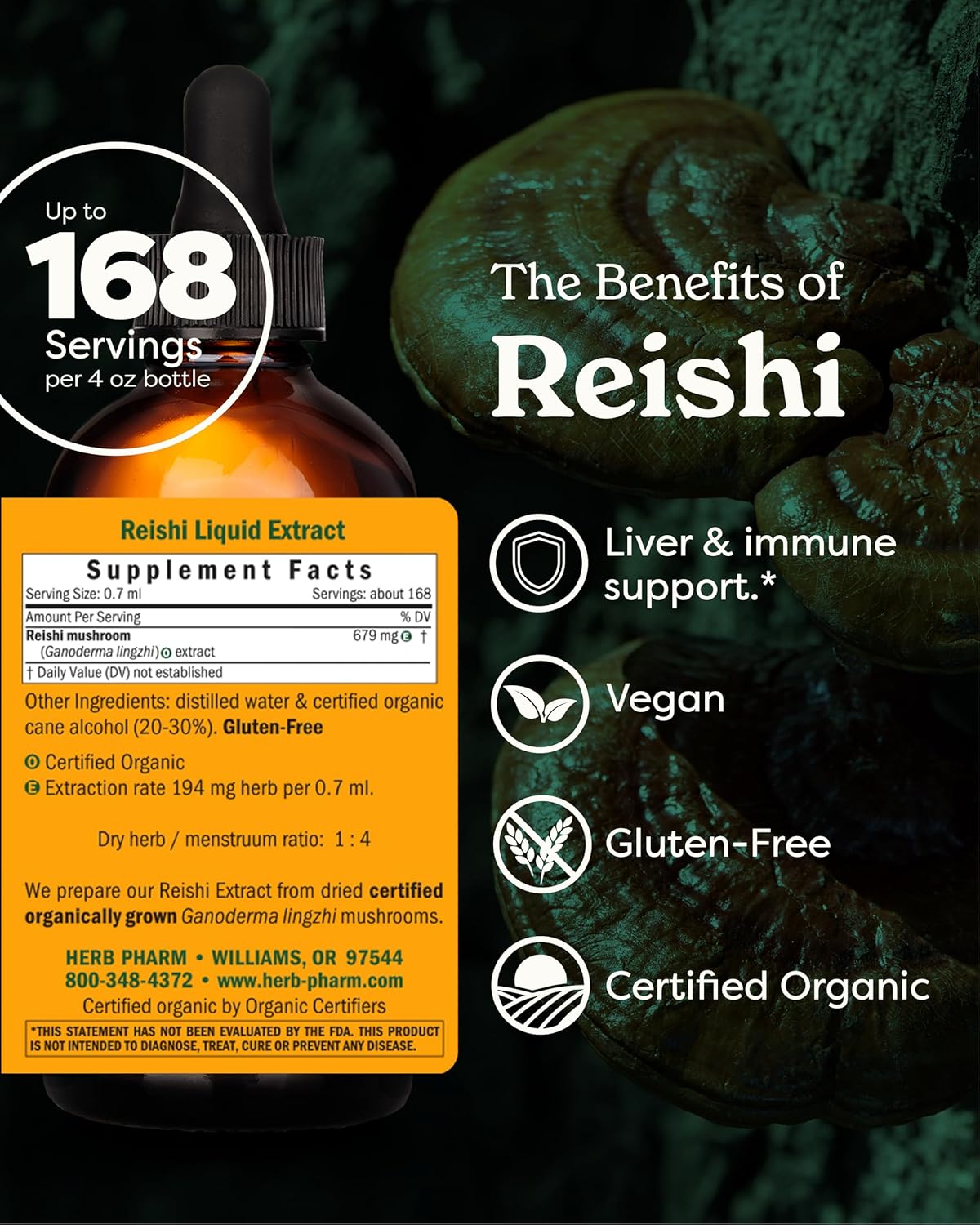 Reishi Mushroom Liquid Extract Drops Immune System Builder, 4 Oz - Image 2