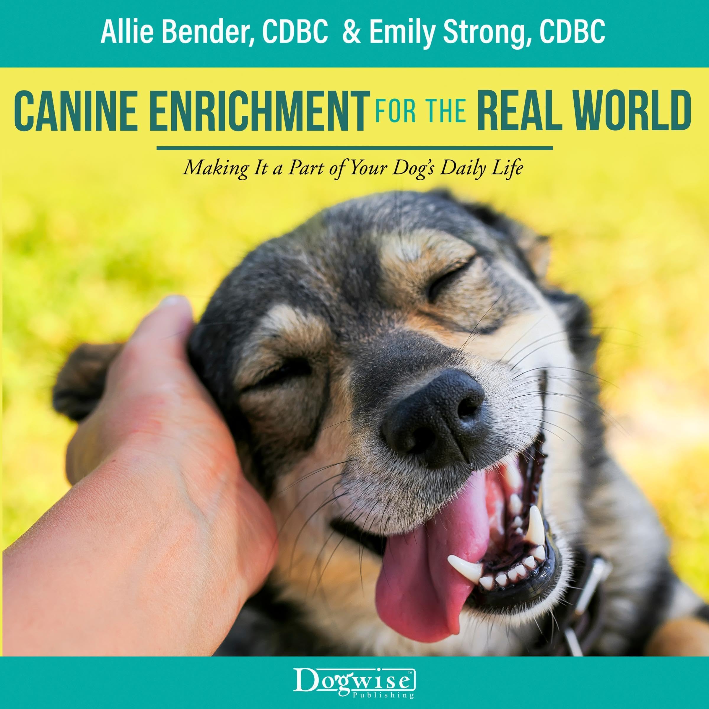 Canine Enrichment for the Real World