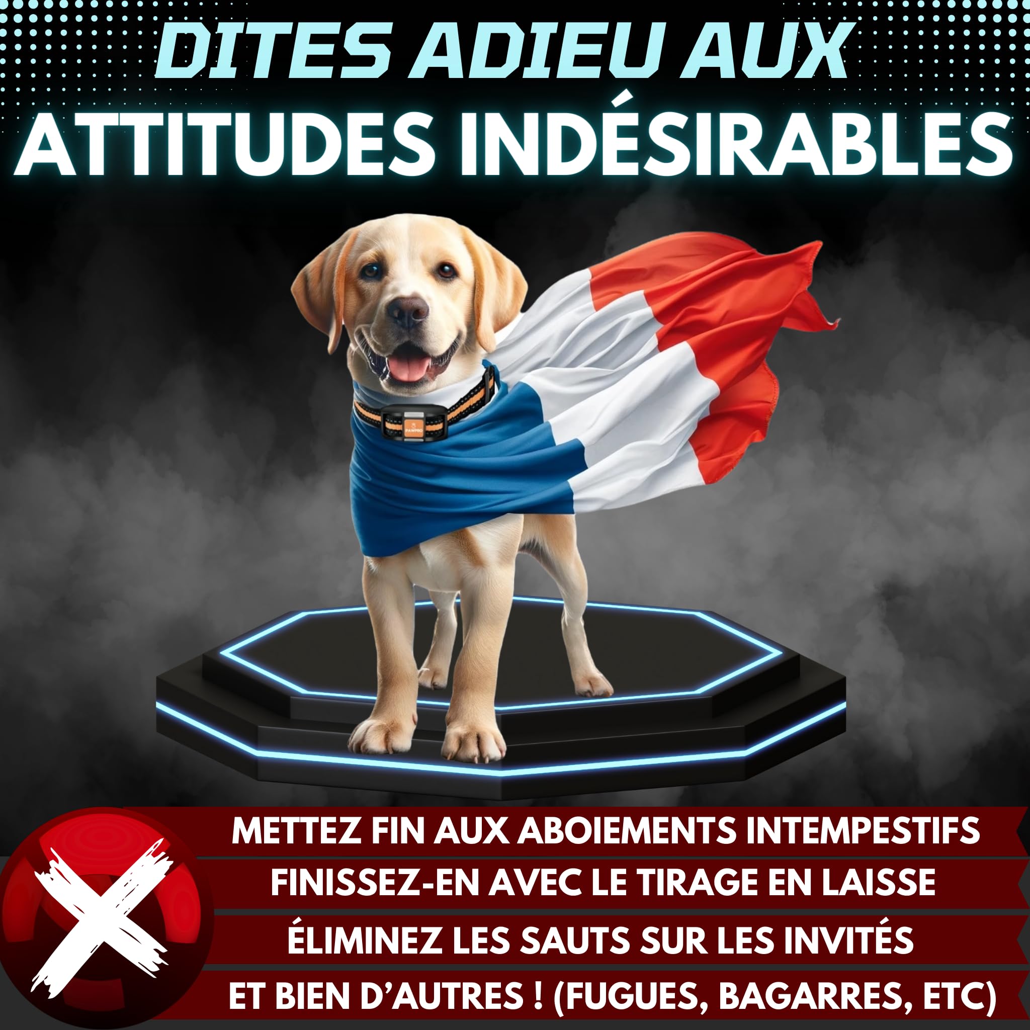 PAWPRO Collier de Dressage, Portée de 3km, Mode Lumière Nocturne, Guide de Dressage Inclus, 124 Niveaux d’Entraînement, BIP Vibration Choc, Adapté à Tous Les Chiens, Étanche Rechargeable, Marque FR