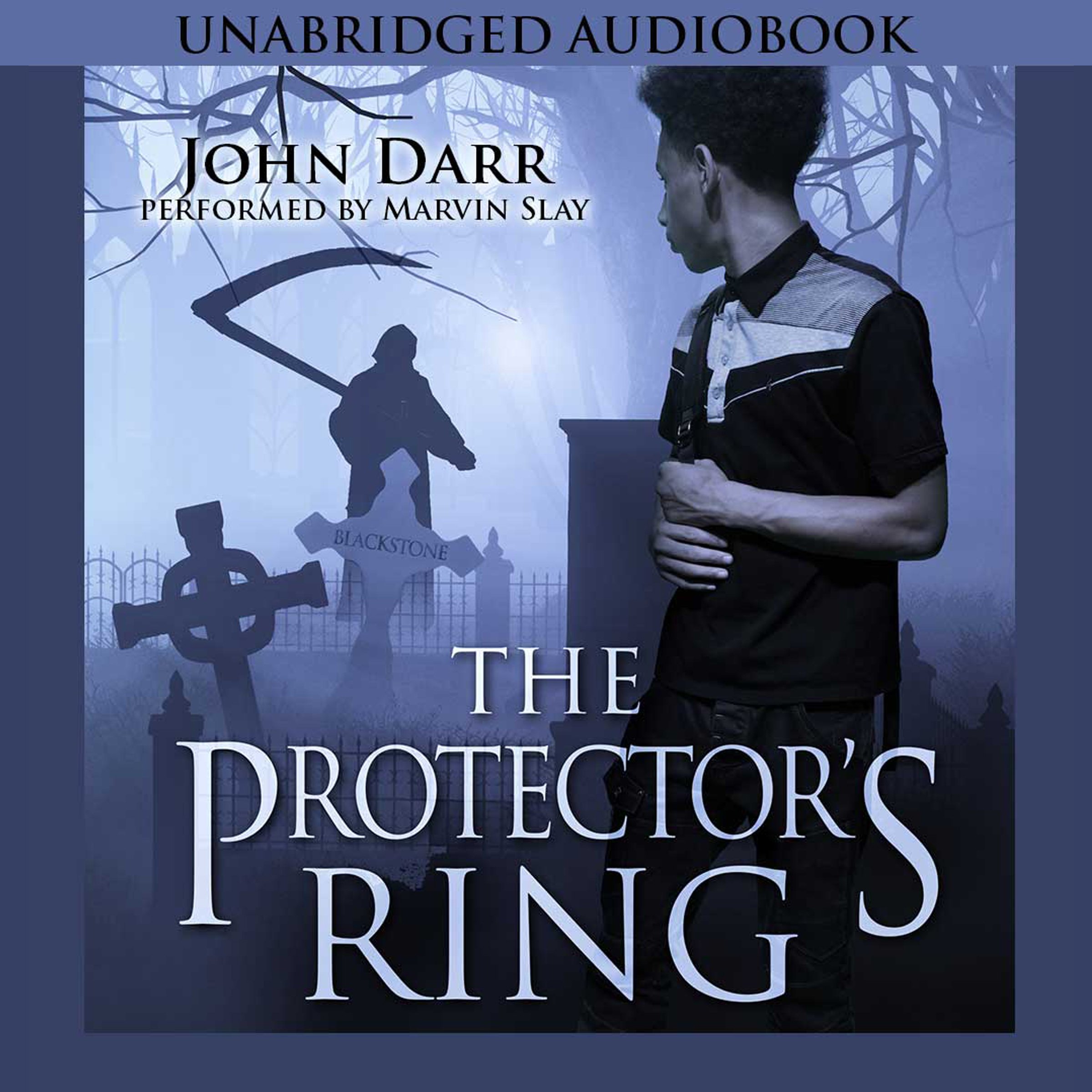 Cover art for The Protector's Ring