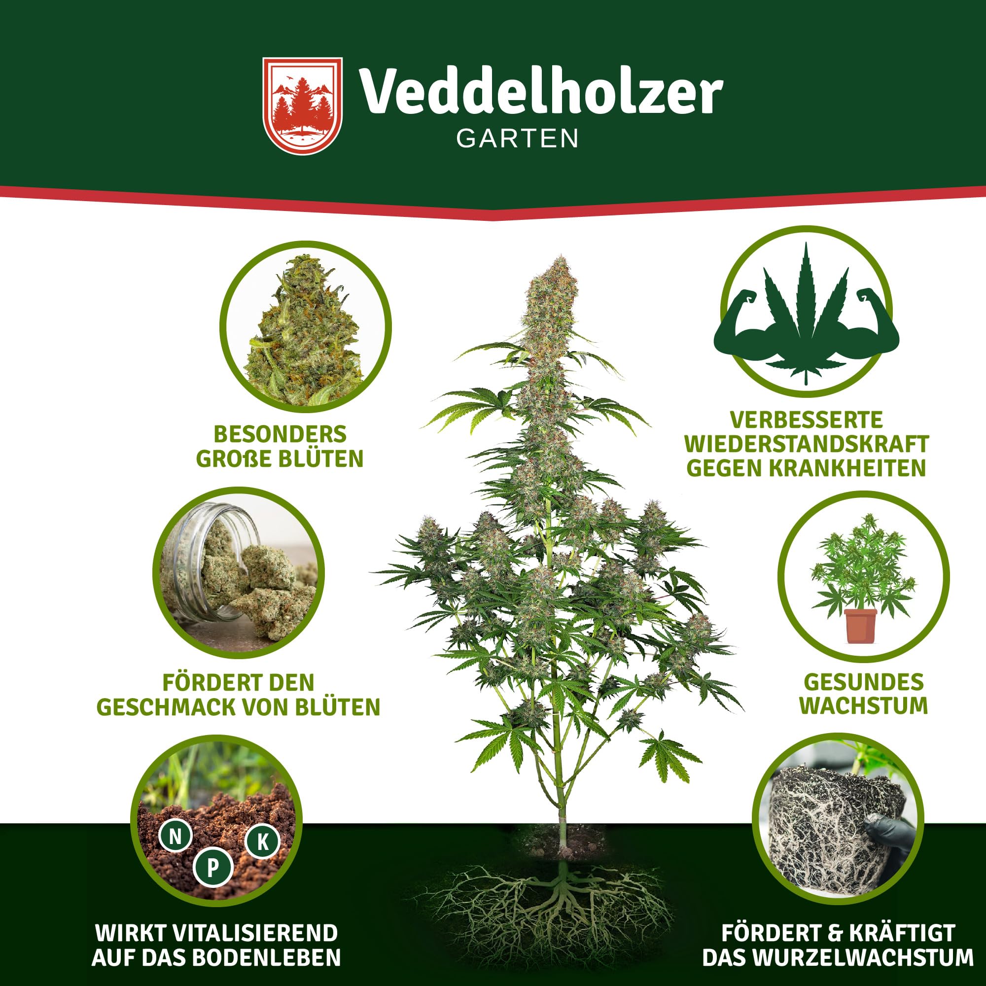 Veddelholzer Premium 500 ml All in One Bio Cannabis Dnger