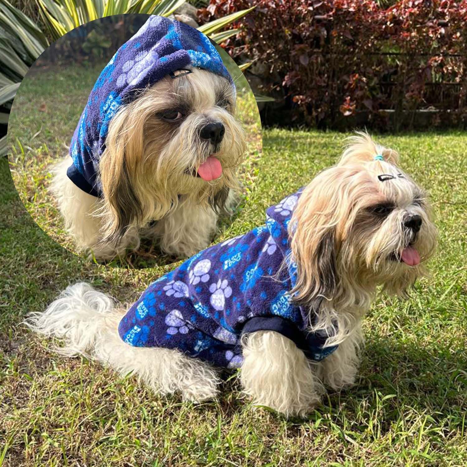 Lulala Dog Hoodie Fuzzy Dog Sweater with Leash Hole - Small Dog and Cat Clothes Warm Soft Cozy Hooded Sweatshirt for Winter. (Blue-8Inch) 4