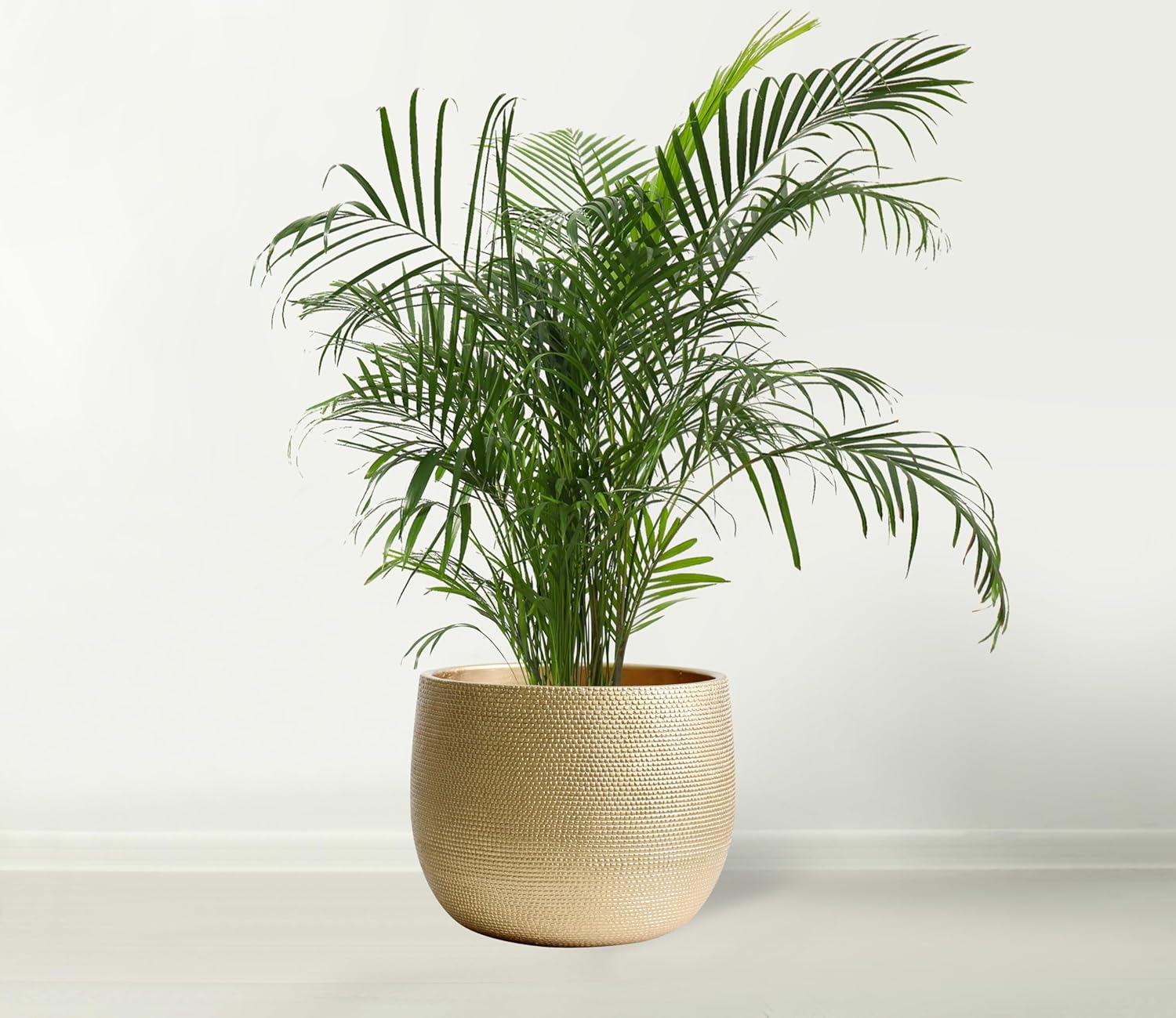 Olly & Rose 10 Inch Barcelona Ceramic Plant Pot - Flower Pots - Plant Pots Indoor & Outdoor Planters (Gold, 25cm)