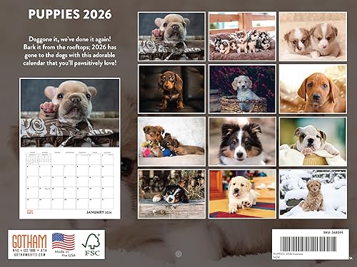 Vista 436 de Calendario Goldendoodle 2026 Golden Doodle mensual de pared calendario de 12 meses Fabricado en Estados Unidos