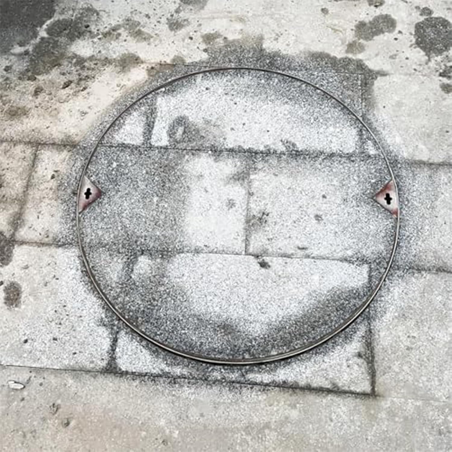 Round Invisible Septic Tank Cover Recessed Stless Steel Manhole Lid for Gardens Terraces & Roads Durable 500x500mm (19.7x19.7in) Design.