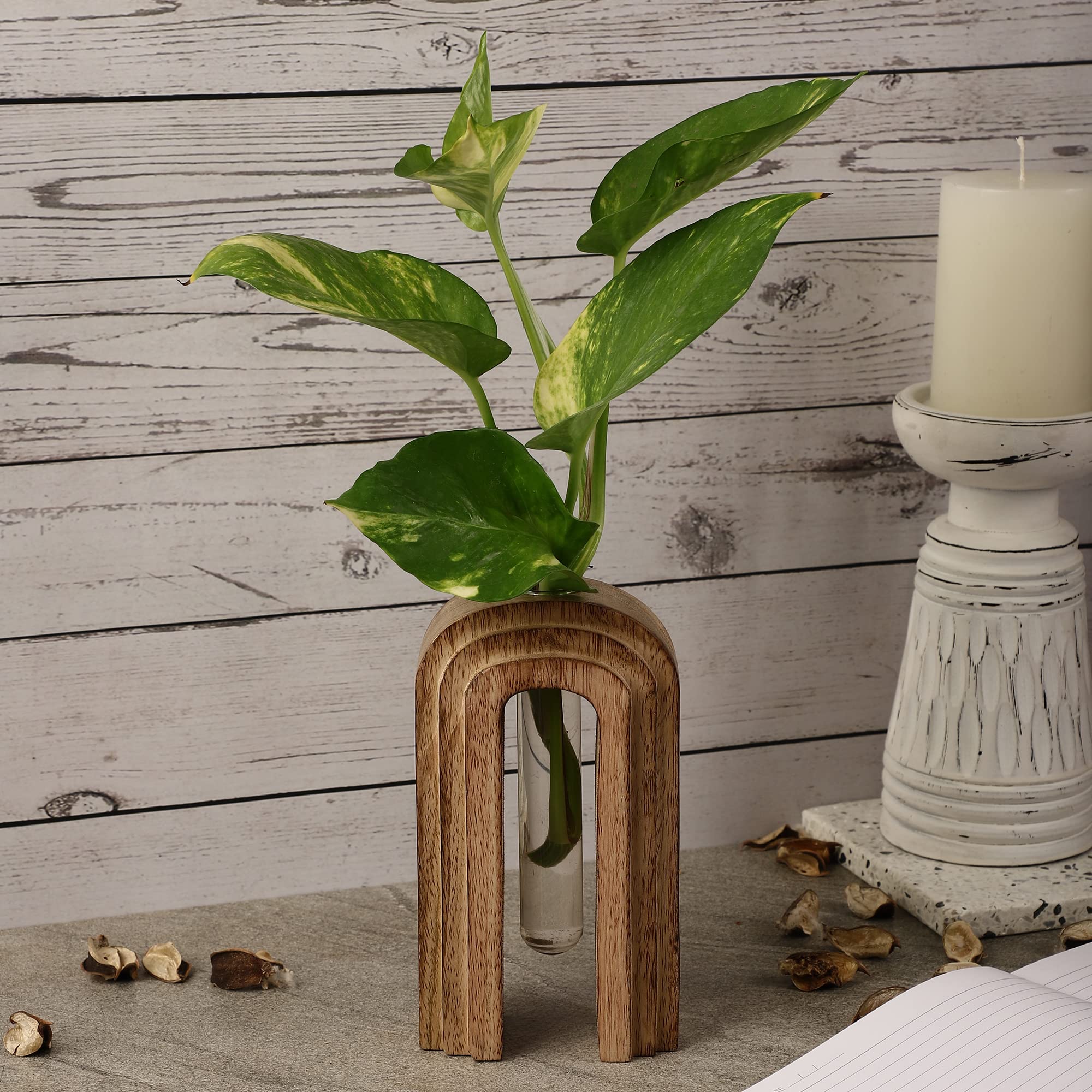 The Decor Mart Arch Step Wooden Succulent Holder with Test Tube, Planter, Indoor Planter, Wooden Craft, Plant Pots, Decor, Organic, Handmade (B0BGLGYL8M) Amazon Price History, Amazon Price Tracker