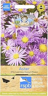 Mr Fothergill's 13280 Flower Seeds, Aster (Michaelmas Daisy) Mixed