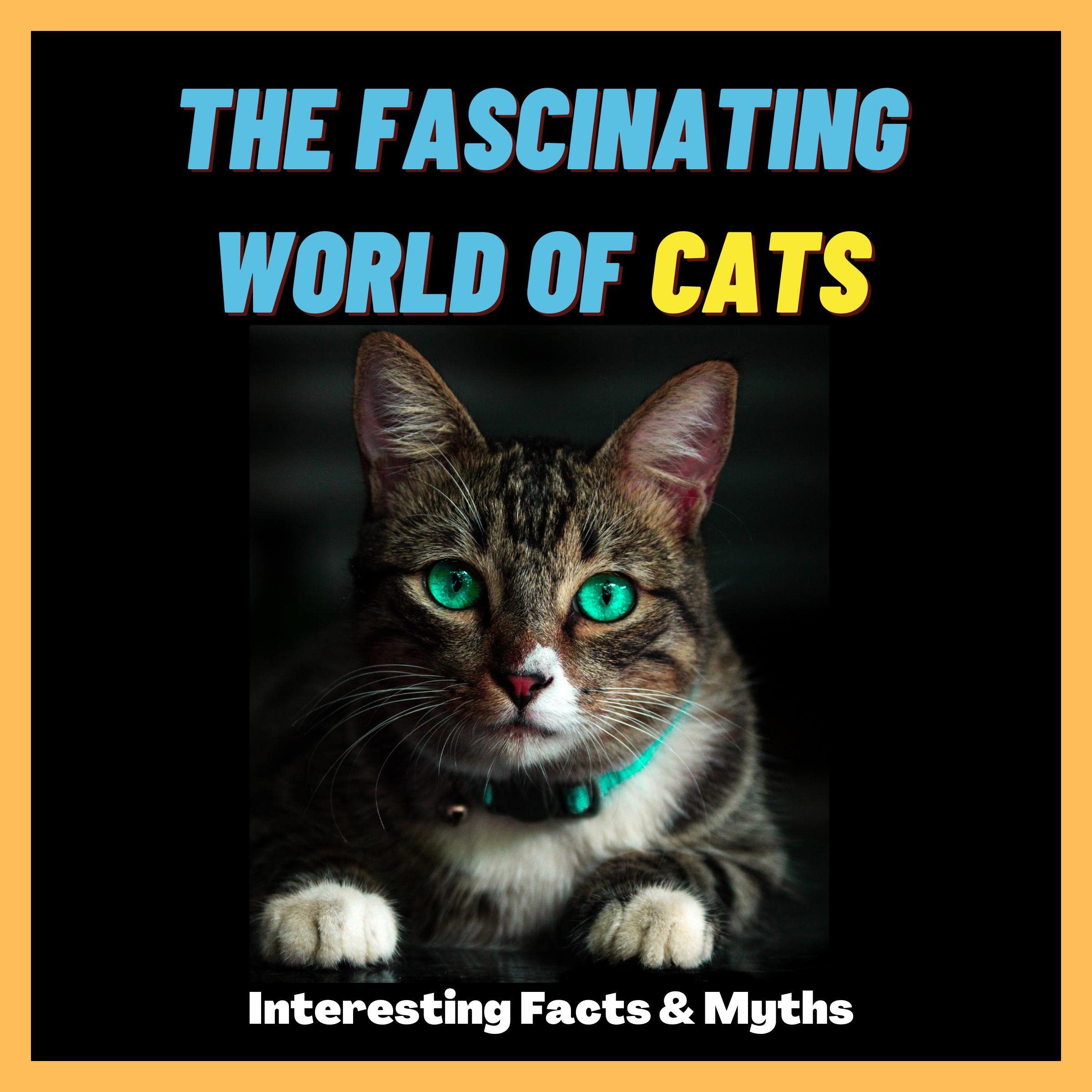 The Fascinating World of Cats