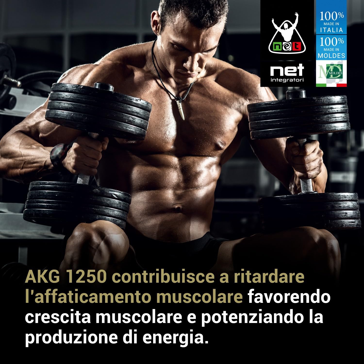 Net Integratori AKG 1250 – 90 compresse – Integratore di Arginina Alfa-Chetoglutarato ad Alto Dosaggio per Stimolare Ossido Nitrico e Aumentare Pump Muscolare e Resistenza – Pre e Post Workout