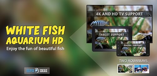 aquário de peixe branco grátis HD - decore seu quarto com um lindo aquário em sua TV HDR 4K, TV 8K e
