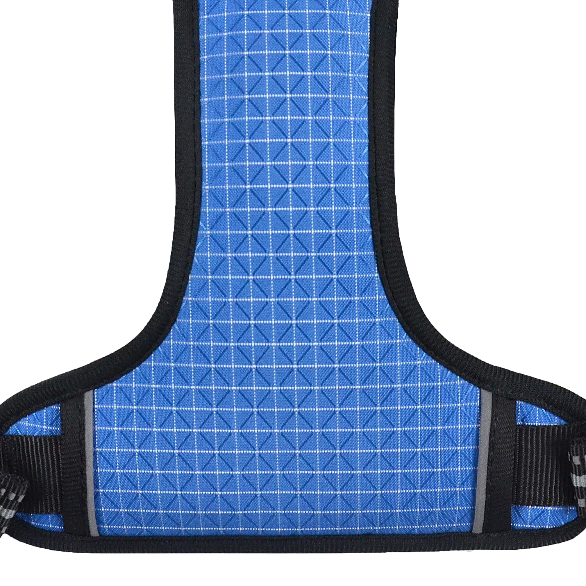 View 8