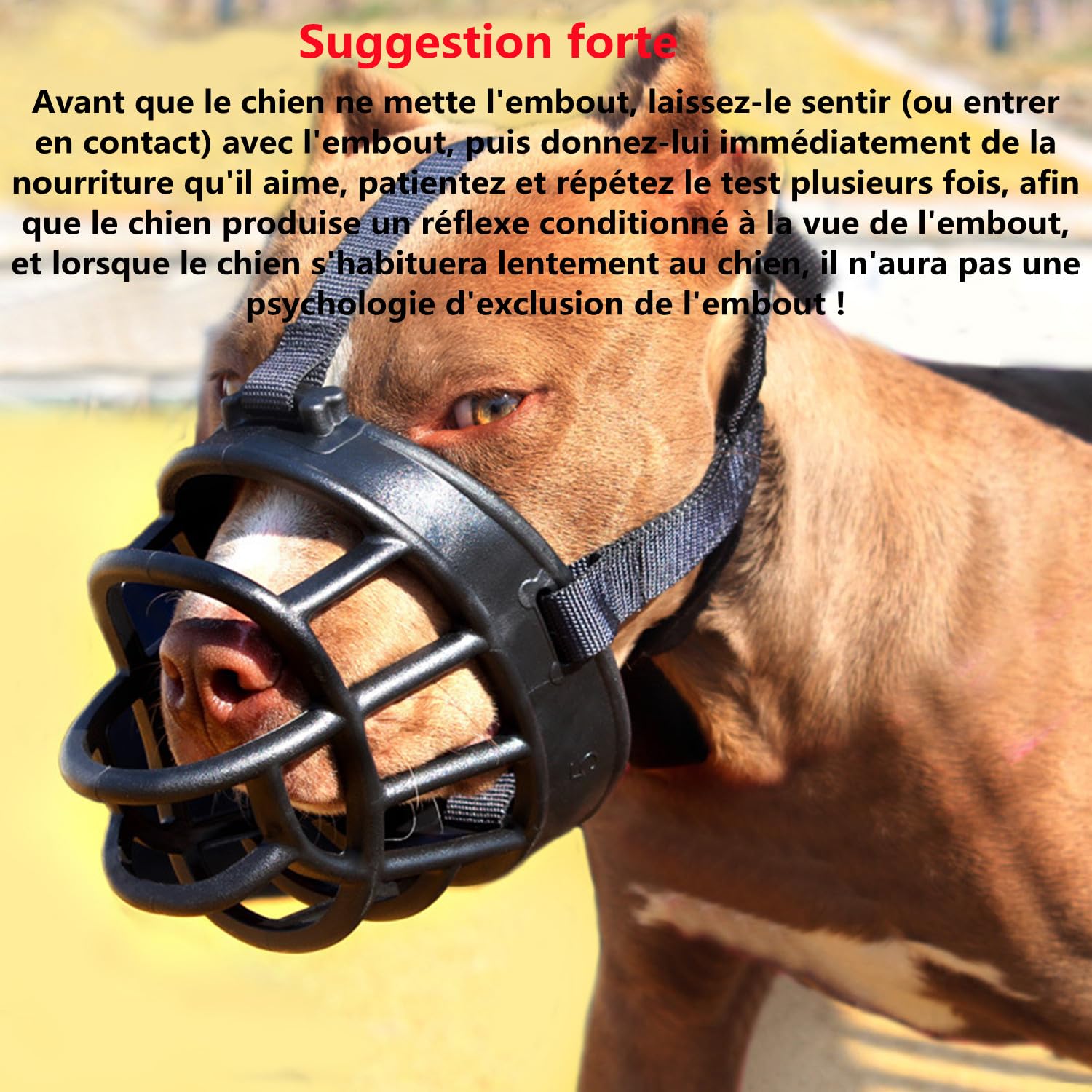 LATRAT Muselière pour Chien, Empêche Les Morsures, Museau d'Entraînement Respirant pour Petits,Moyens Et Grands Chiens, Taille 3
