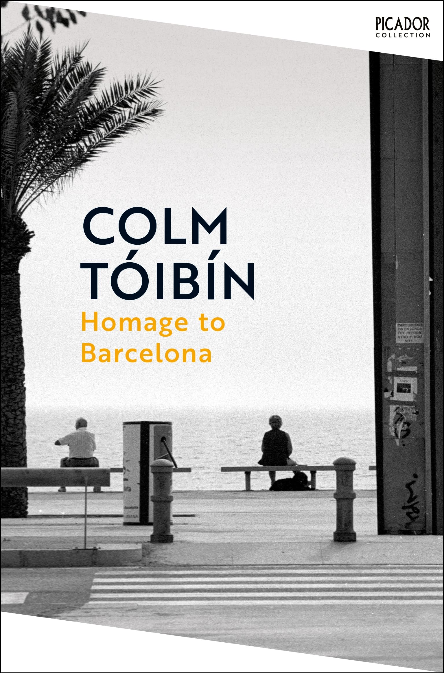 Homage to Barcelona: Gay Lives from Wilde to Almodóvar (Picador Collection)