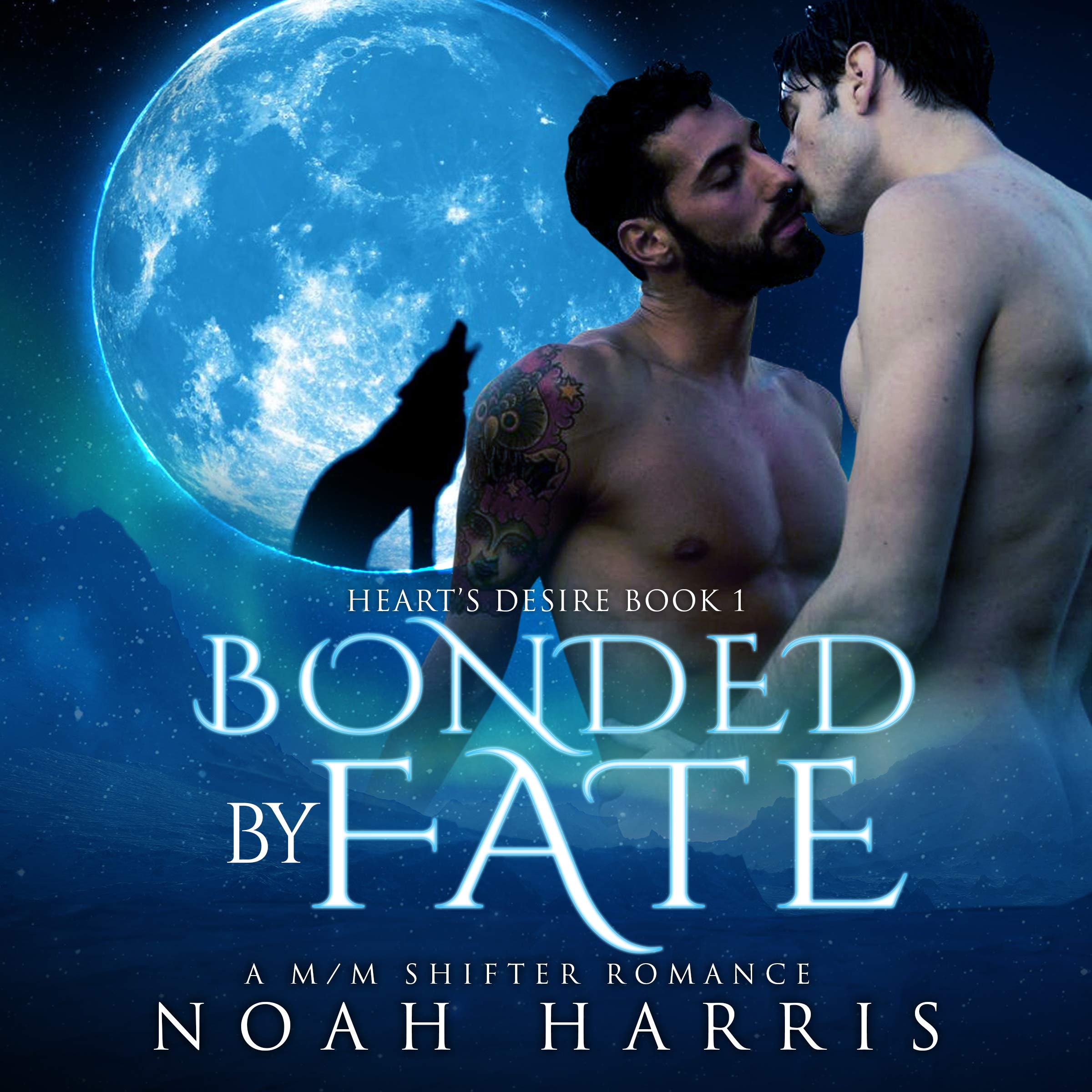 Cover art for Bonded by Fate: A MM Shifter Romance