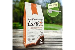 100% Organic Earth Diatomaceous Powder