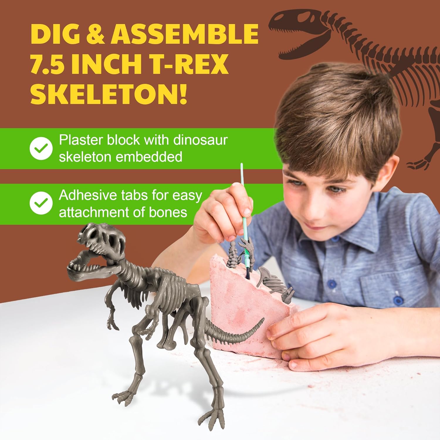4M | STEAM Dinosaur World Exploration| Hands-On Science Kit with Dinosaur Figures & Fossil Experiments for Kids Ages 5+ - Educational Paleontology Toy Gift