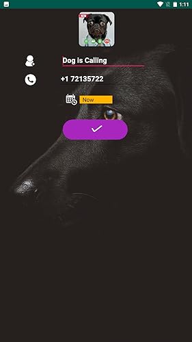 Tiny Dog Calling Fake Video Call Prank Black Pug