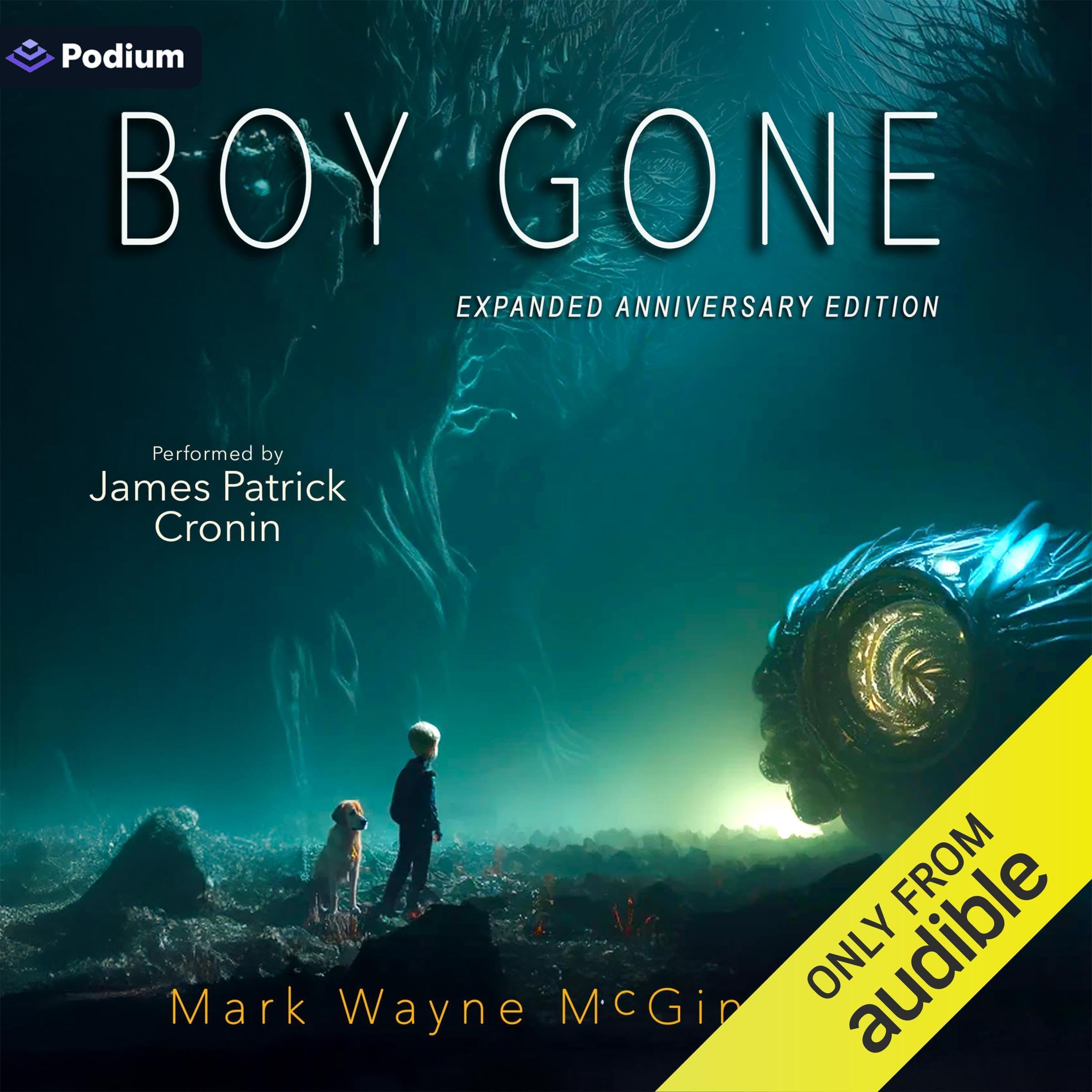 Cover art for Boy Gone