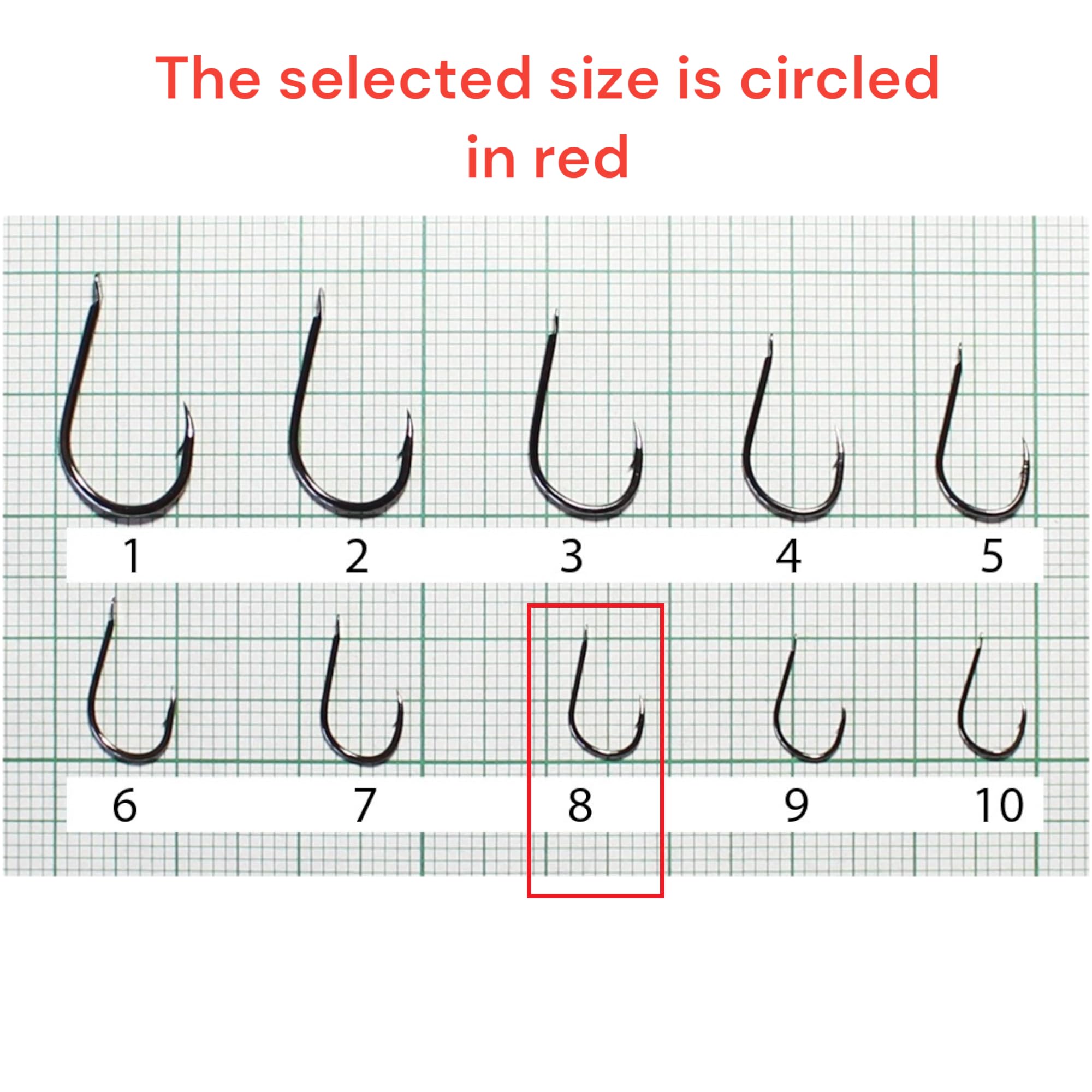 PRO FILSTAR Fishing Hook Set including Leader 10 Pieces, N8, Tied Hooks with Mono Fishing Line 50 cm, Diameter 0.16 mm - Image 2