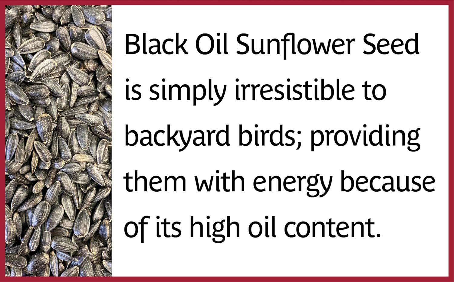 Pennington Select Black Oil Sunflower Seed 40lbs