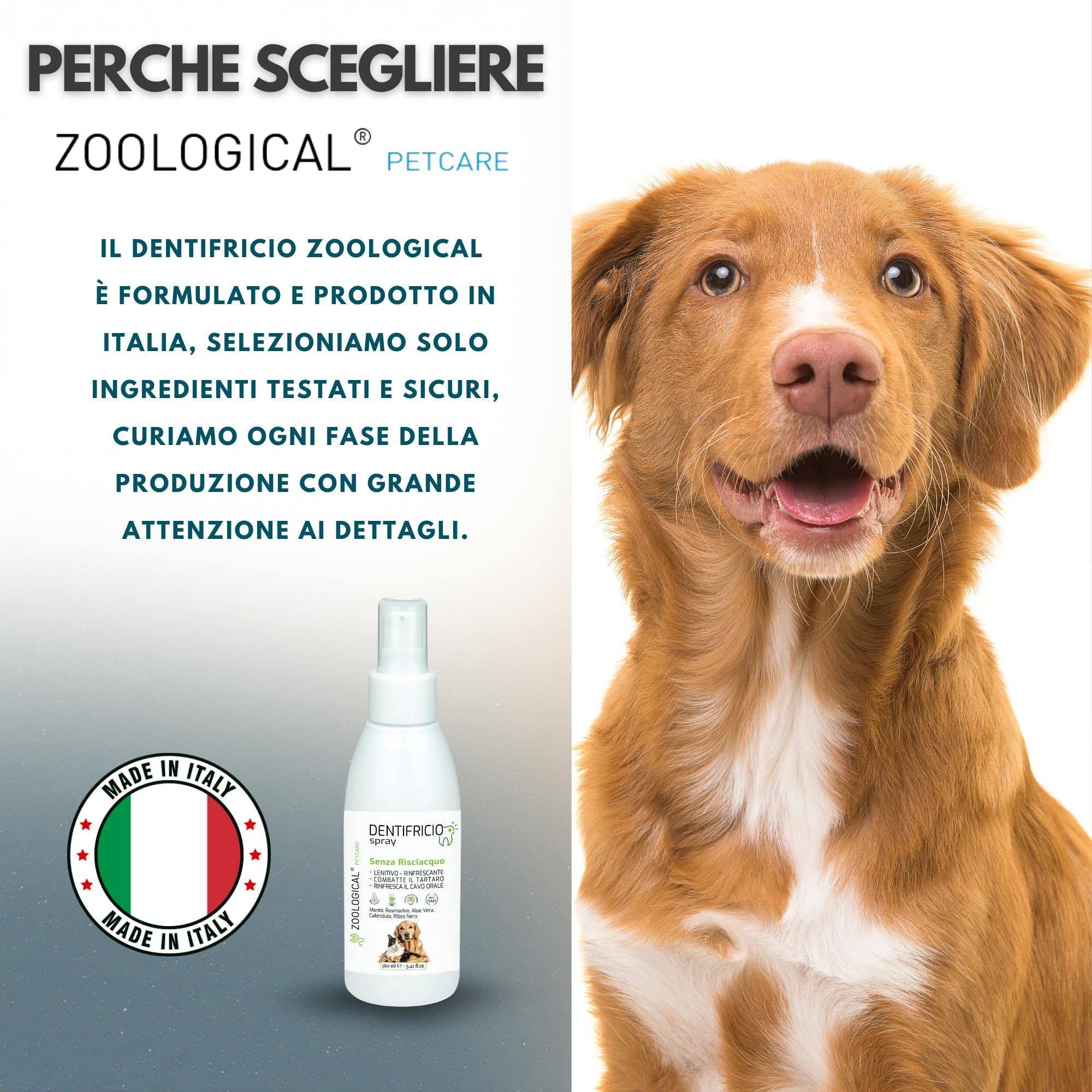 Dentifricio Spray per Cani e Gatti 160ml - Pulizia Denti Gengive Tartaro - Rinfresca Alito Menta Rosmarino