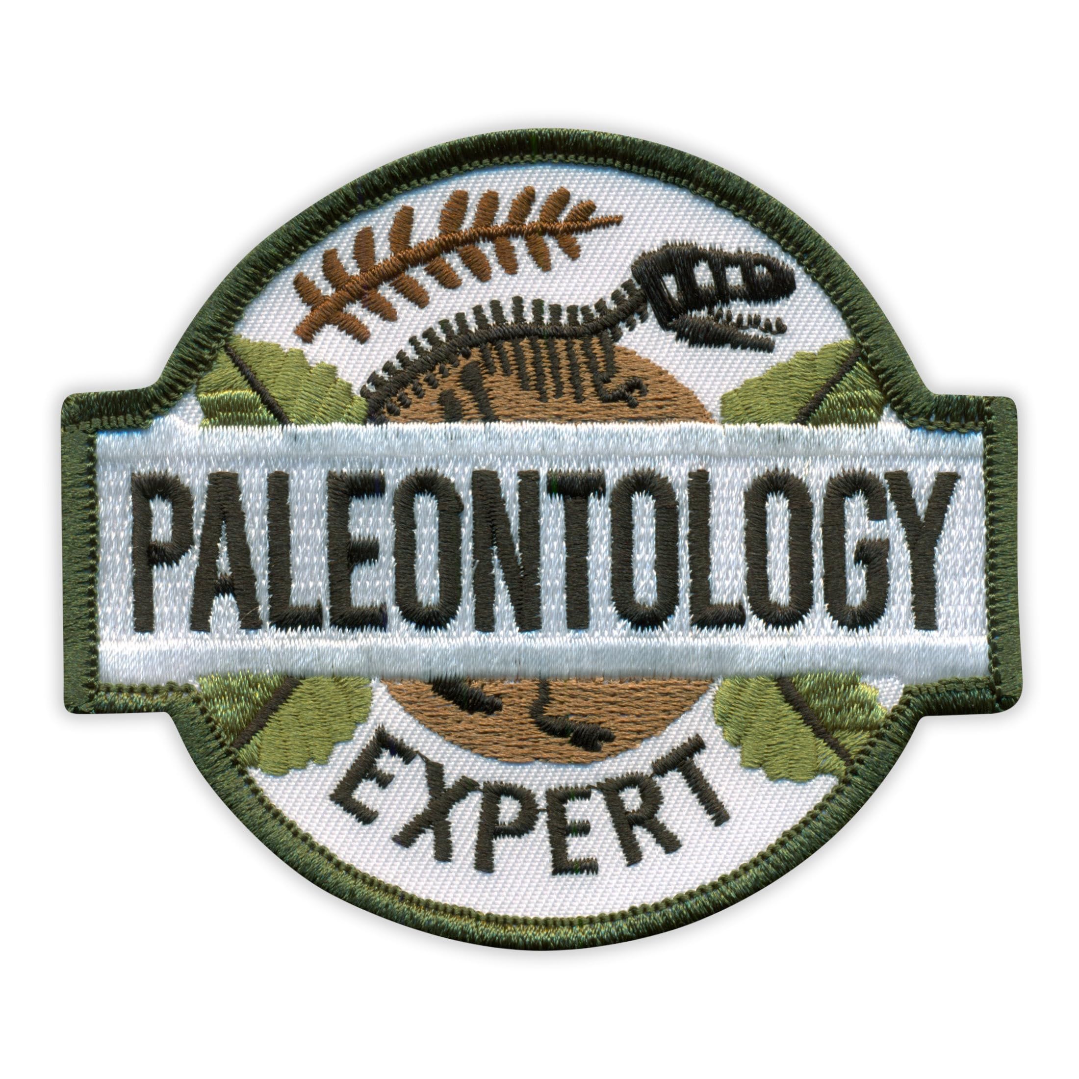 Set di 4 toppe ricamate con scritta "Paleontology Expert" (lingua italiana non garantita)