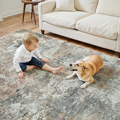 Vista 100 de Alfombra de área para sala de estar: 5 x 7 de interior, suave, esponjosa, alfombra abstracta para dormitorio, cocina, comedor, suelo, alfombra