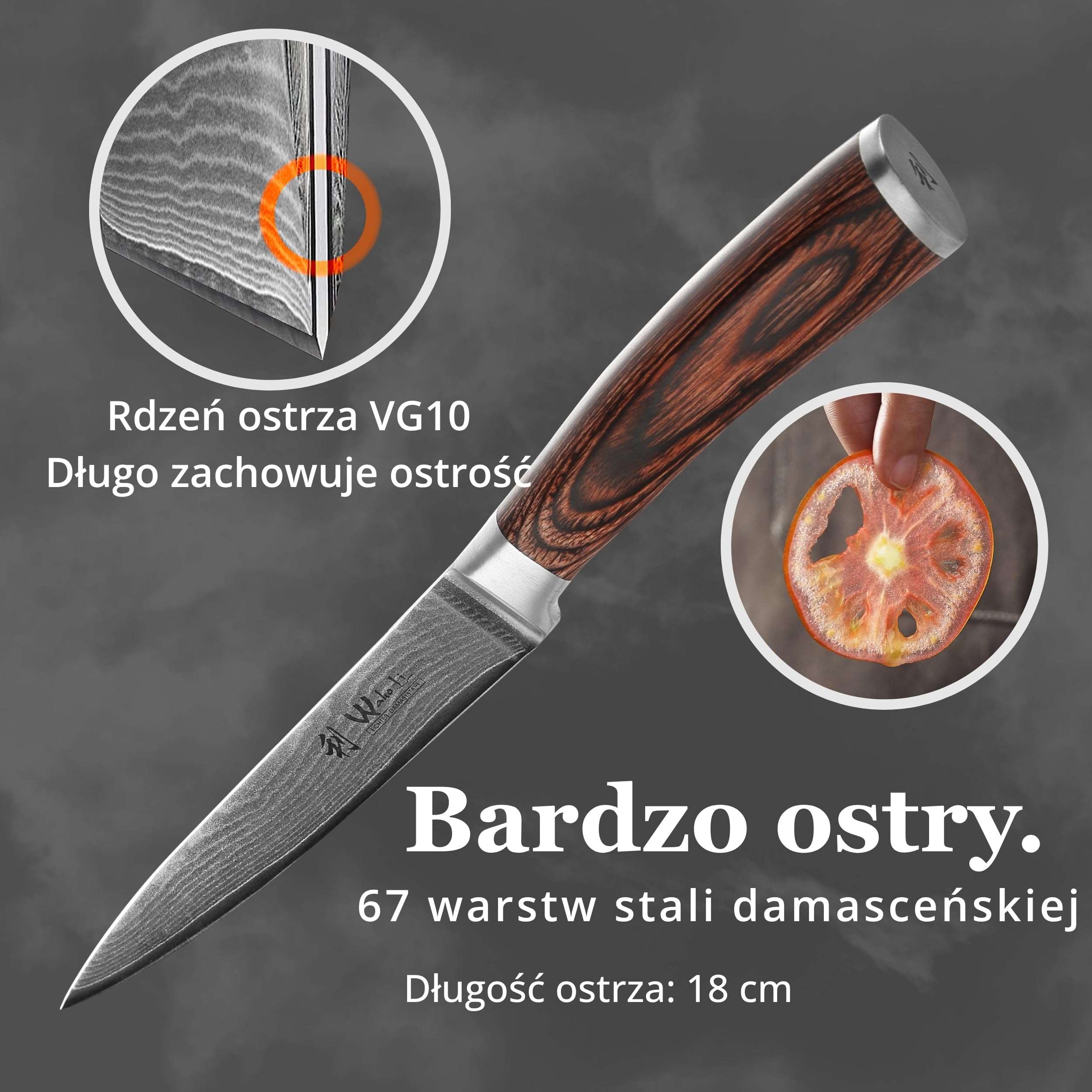 Wakoli EDIB nóż do mięsa i krojenia pieczeni ze stali damasceńskiej z rdzeniem VG10, ostrze 18 cm, ostry i precyzyjny, rękojeść z drewna Pakka, pudełko prezentowe, nóż kuchenny do porcjowania