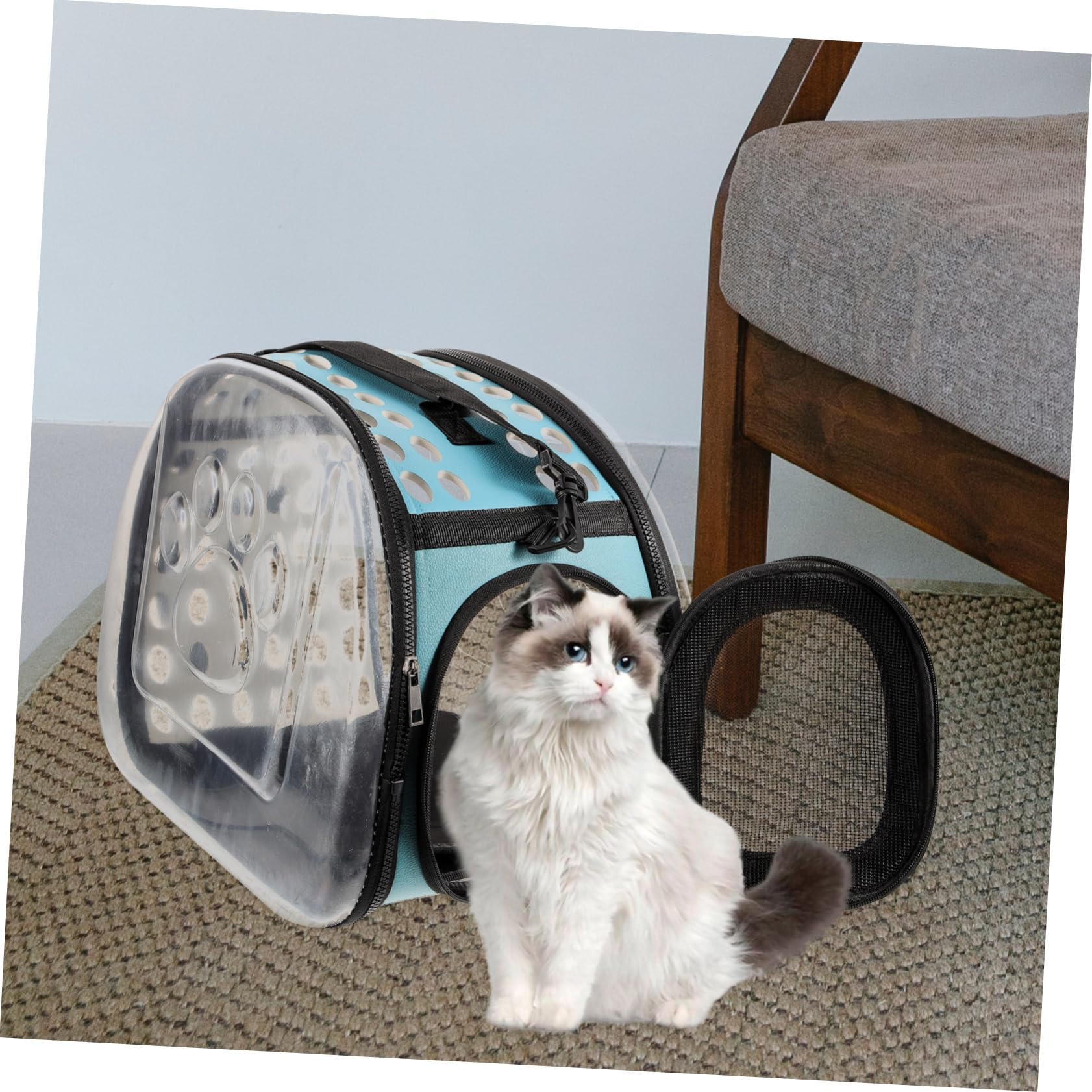 Pet Carrier Backpack Trasparente in Eva Blu per Viaggi | Strap Regolabili Fibbia, Design Zaino, per Escursioni e Campeggio, Struttura Stabile