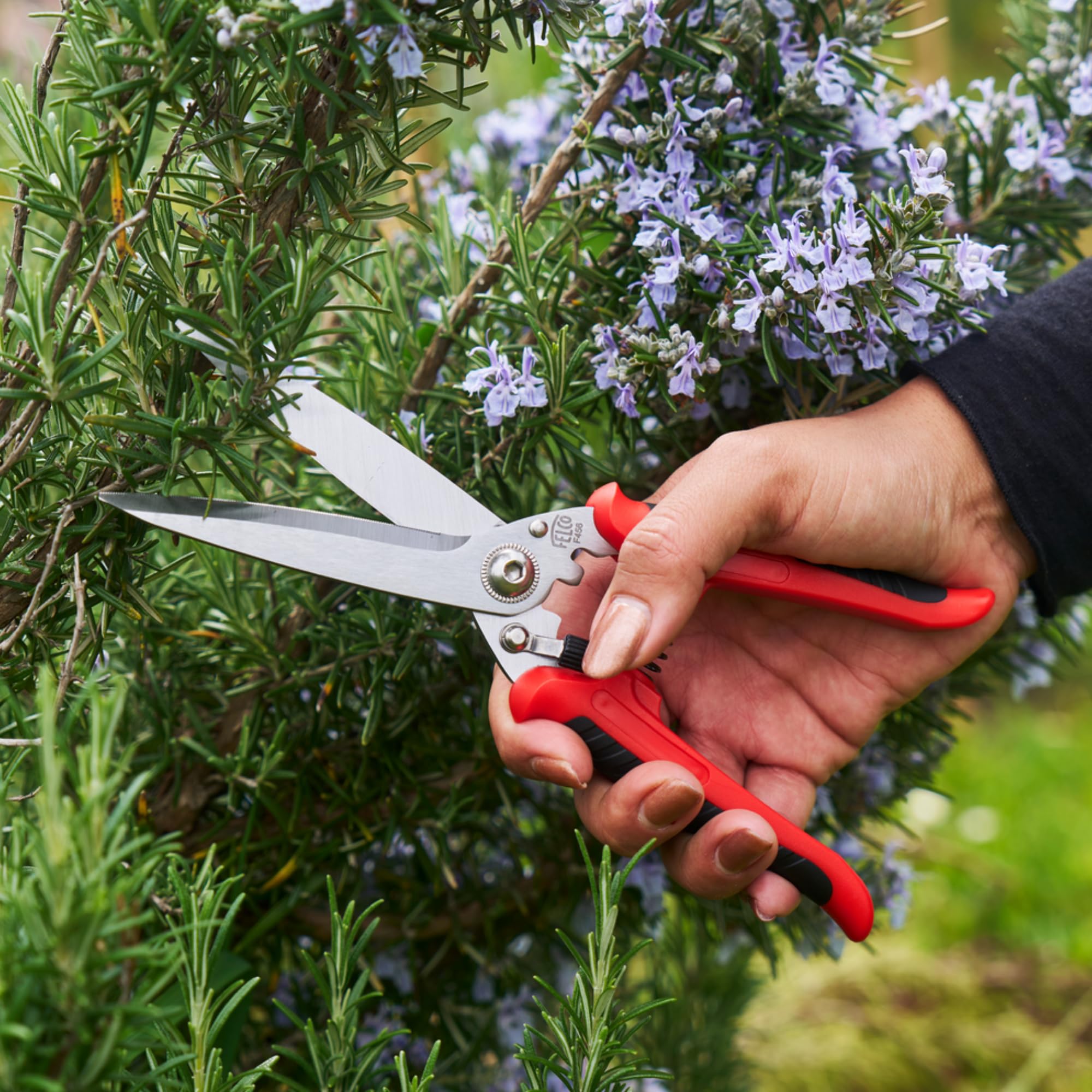 FELCO 456 Forbici Multiuso, Lame Curve in Acciaio Inossidabile, Lama Seghettata per Presa Sicura, Strumento da Taglio Multiuso per Giardino e Casa, Forbici di Precisione Premium