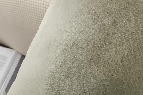 Miniatura 4 de TangDepot Juego de 2 fundas de almohada de terciopelo súper suaves, fundas de almohada lumbar, fundas de almohada - (12 x 18 pulgadas, 2 piezas, F01