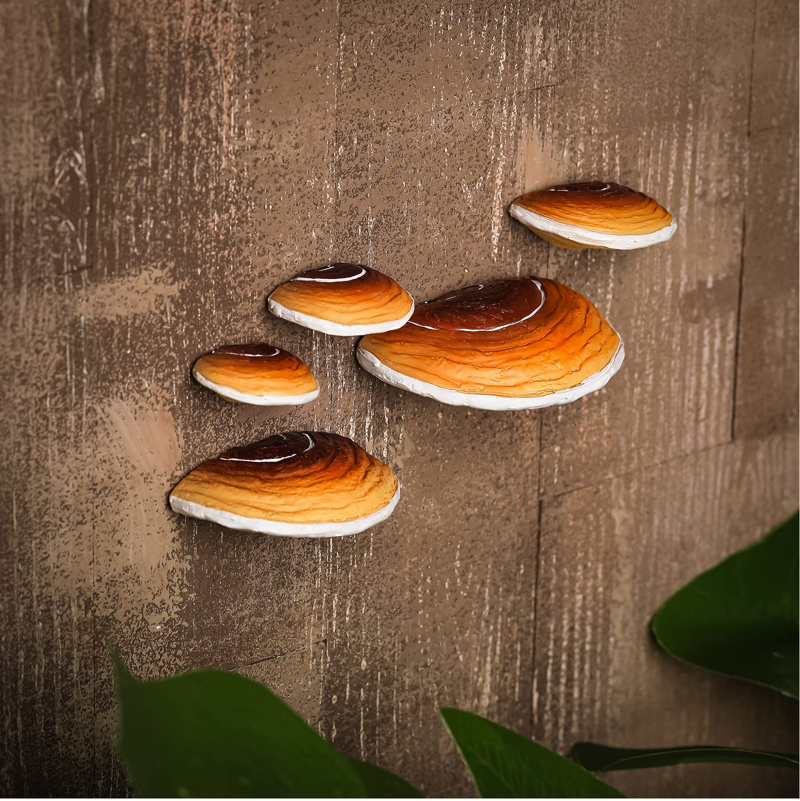 Geetery Set of 5 Mushroom Shelf Wall Decor - Adhesive Mini Resin Mushroom Floating Shelves Cute Hanging Shelf Home Kitchen Bedroom Cottage Core Decor & Gecko Reptile Tank Accessories(Brown)