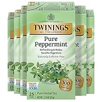 Vista 7 de Twinings Gingerbread Joy Té Negro en Bolsas Envueltas Individualmente, 20 Unidades (Paquete de 6), Jengibre y Canela, Con Cafeína, Disfrute Caliente