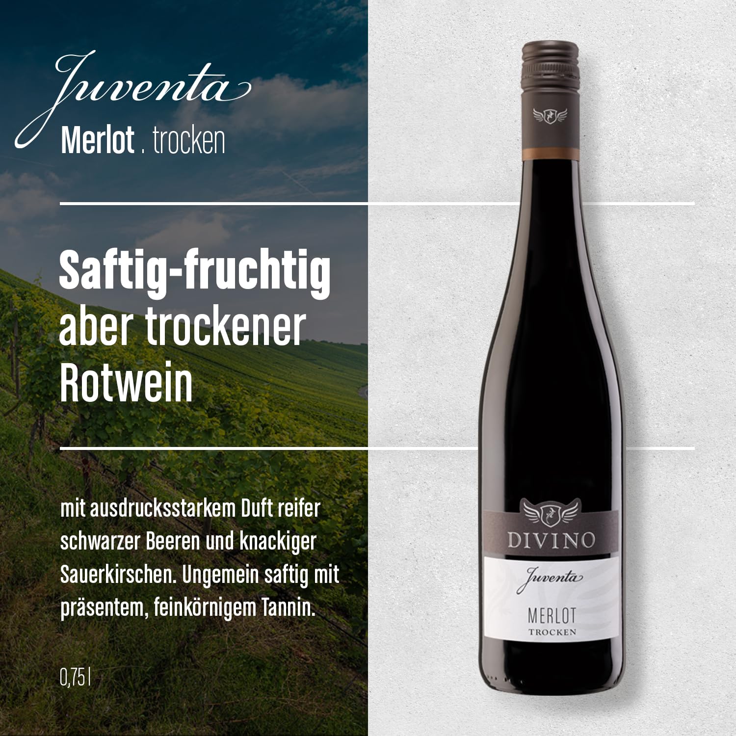 DIVINO Juventa Frankenwein Probierpaket - Silvaner, Grauer Burgunder, Scheurebe, Rotling, Merlot, Cuvée - Qualitätsweine direkt aus den Weinbergen Frankens (6 x 0,75l)