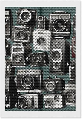 Miniatura 9 de DWVSFJM Retro Cool Camera Collection - Kits de pintura de diamantes de 12 x 16 pulgadas, kits de pintura de diamantes para principiantes, pinturas