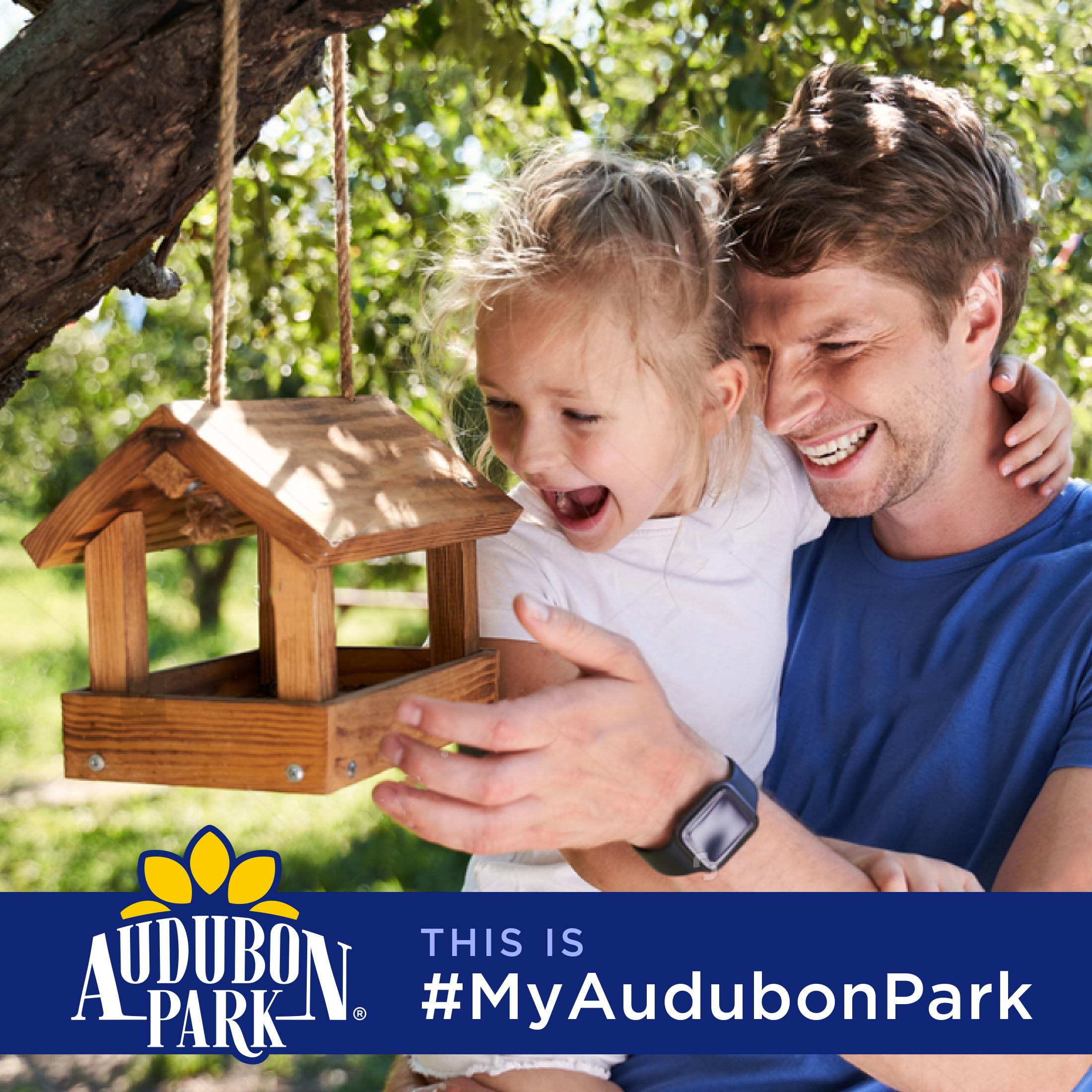 Audubon Park Extreme Variety - Semillas de pájaros silvestres para comederos exteriores, bolsa de 15 libras