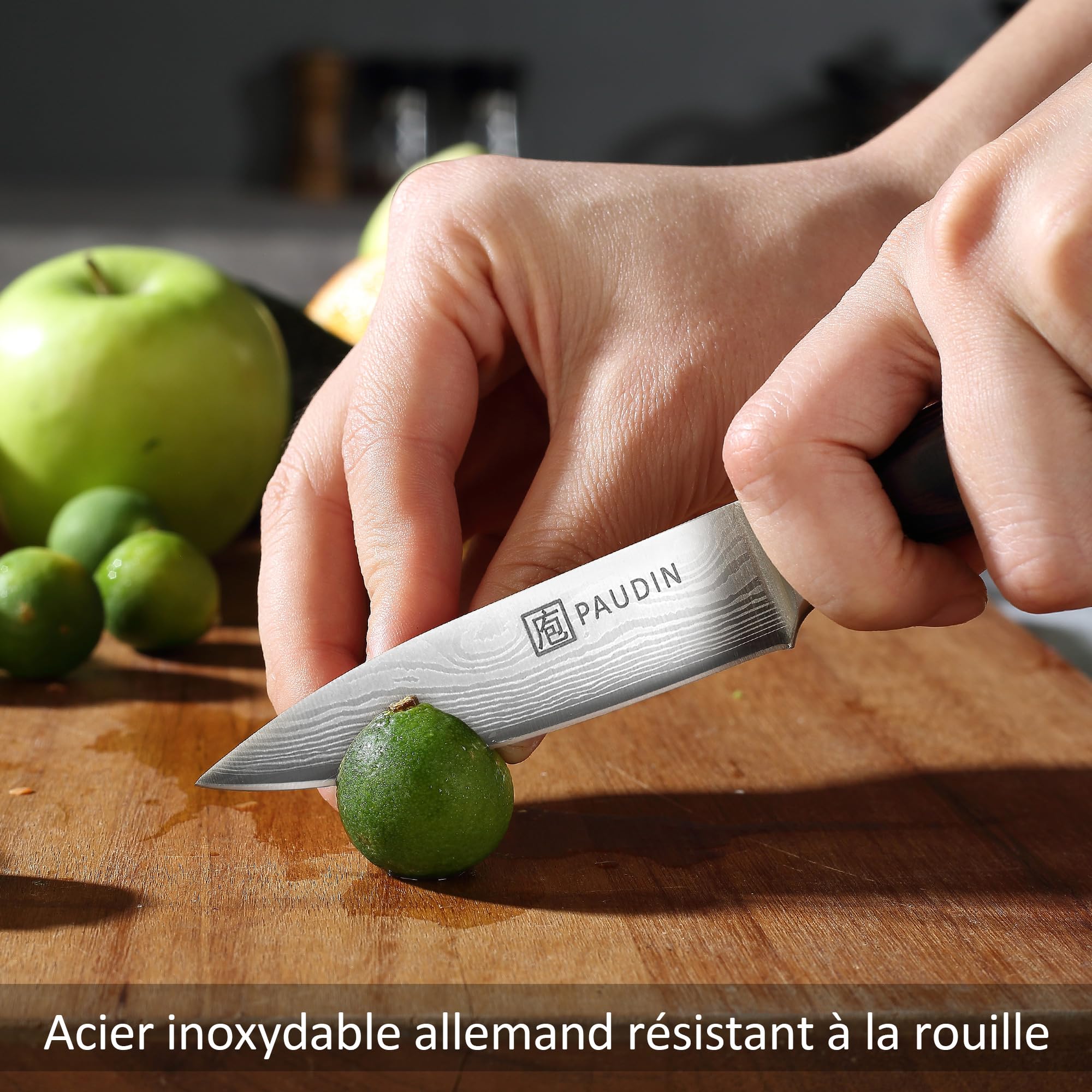 PAUDIN Couteaux à Eplucher - Couteau à Fruits de 3,5 Pouces, Tranchants Couteau d'office Allemands en Acier Inoxydable à Haute Teneur en Carbone, Résistant à l'usure