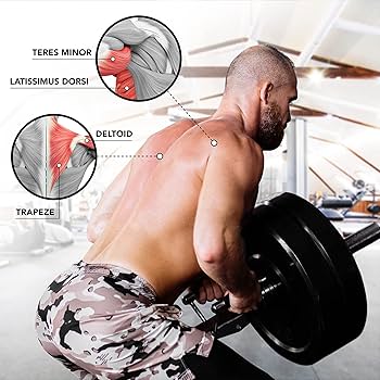 Amazon | イエスフォーオール(Yes4All) Tバーロー プレート